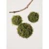 Sullivans Set Of 3 Mossy Orbs Decorative Filler 8"H, 6"H & 5.5"H Green 2 Sullivans Set Of 3 Mossy Orbs Decorative Filler 8"H, 6"H & 5.5"H Green -Sullivans GUEST 220d62b1 d44d 450c bdfe c7f82e1451d1