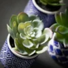 Sullivans Artificial Succulent Trio In Printed Pots Set Of 3, 4"H Green -Sullivans GUEST 25a1c3bd bef9 43d9 b145 d64fd024f0bb