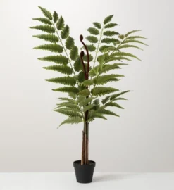 Sullivans Artificial Potted Fern -Sullivans GUEST 63b25a85 c0b8 4019 982a adeea6f81369