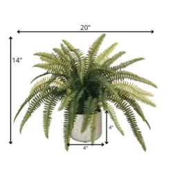 Sullivans Artificial Potted Fern Plant 14"H Green -Sullivans GUEST 95087406 40a2 4efa 90fe fade55b631b6