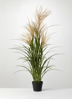 Sullivans Artificial Potted Agave Reed -Sullivans GUEST afa9ea2a e828 4a4d 938a 2b83b3f86fe6