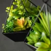 Sullivans Artificial Succulents In Pyramid Planters Set Of 2, 9"H Green