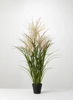 Sullivans Artificial Potted Agave Reed -Sullivans GUEST e4882e26 3e84 4a26 a557 21921dd97f7c