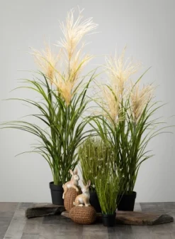 Sullivans Artificial Potted Agave Reed -Sullivans GUEST e8bf9cd4 6857 45e7 8be5 daf64fb3a83b