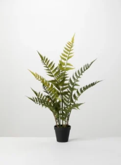 Sullivans Artificial Potted Fern -Sullivans GUEST f3aa28e5 1603 4922 b0df 4a1eb6caeb89